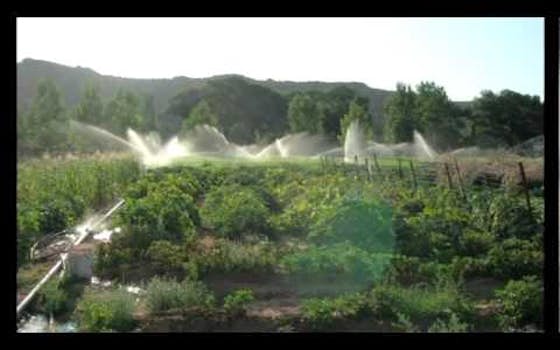Creekside Organics