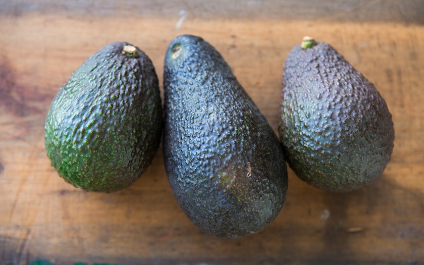 amap avocado hass Hass avocado in the brazilian market there is a wide of variety of avocado, and hass is one of them as the first company to commercialize hass avocados in brazil, initially jaguacy had to invest in marketing strategies aimed at disseminating a differentiated consumption of the fruit in the country. amap avocado hass Hass avocado in the brazilian market there is a wide of variety of avocado, and hass is one of them as the first company to commercialize hass avocados in brazil, initially jaguacy had to invest in marketing strategies aimed at disseminating a differentiated consumption of the fruit in the country.