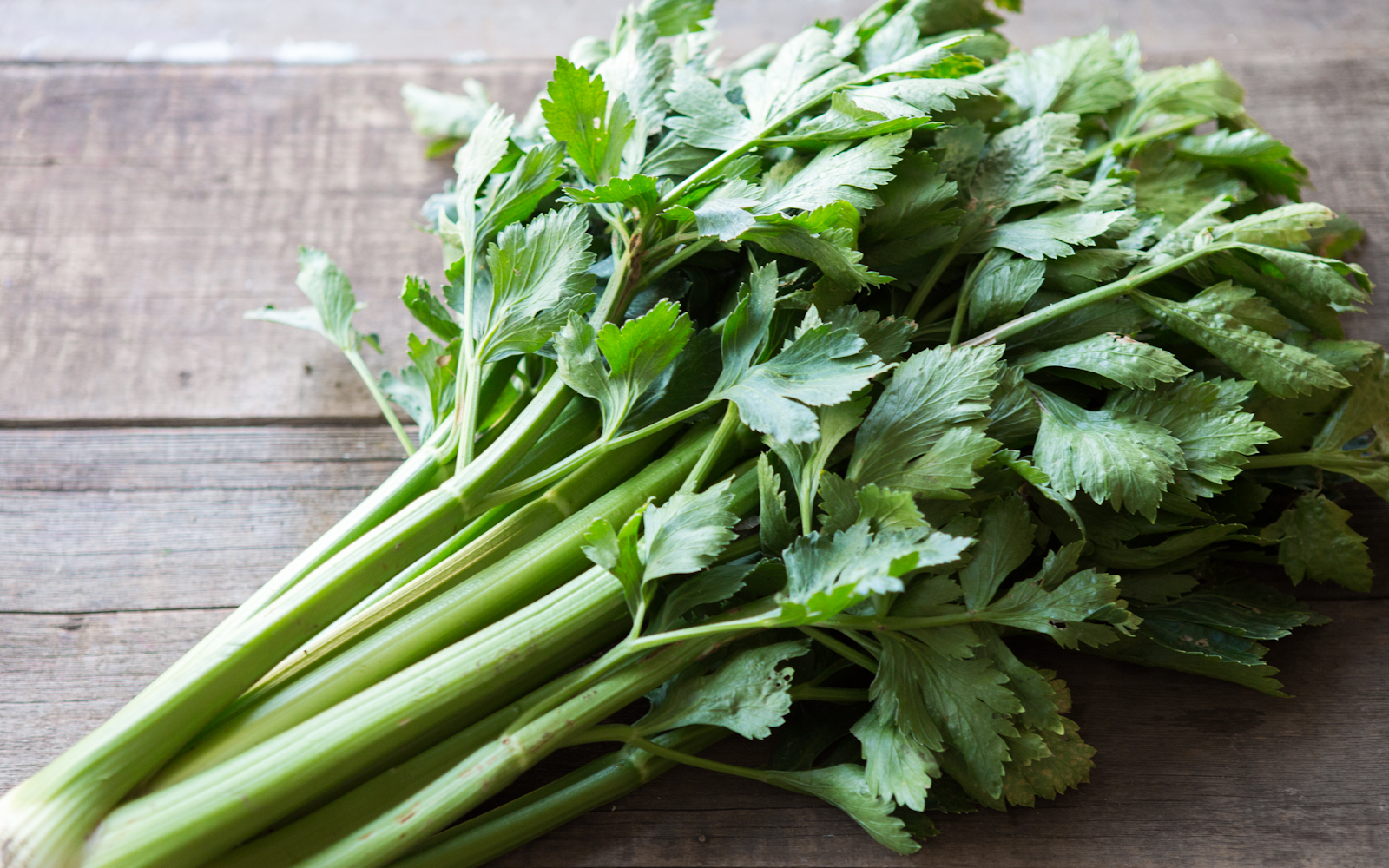 Organic Small Celery Tomatero Farm SF Bay Good Eggs