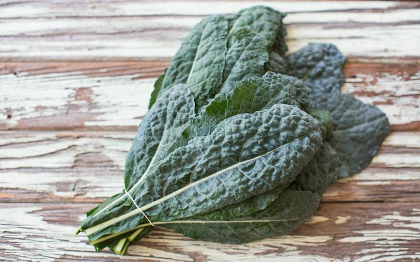 Aquaponic Lacinato Kale