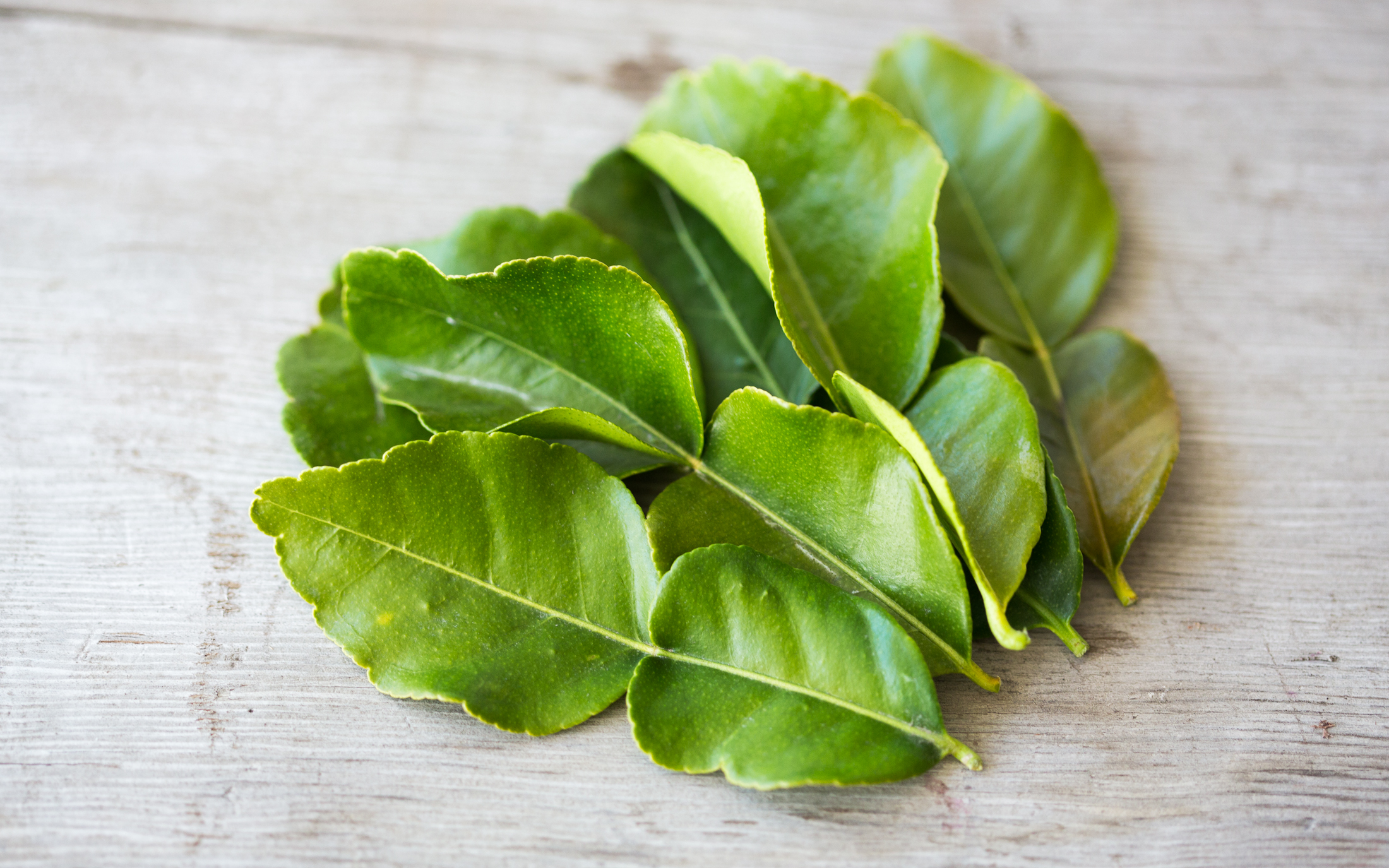 Kaffir Lime Leaves Stepladder Ranch SF Bay Good Eggs