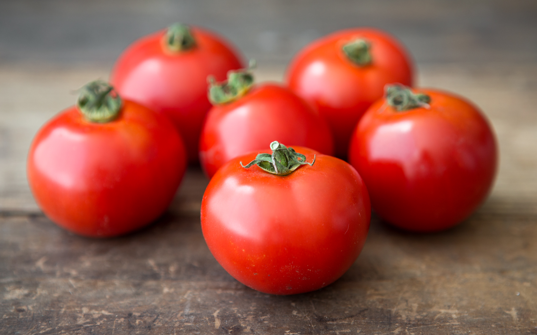 Organic DryFarmed Early Girl Tomatoes Happy Boy Farms SF Bay