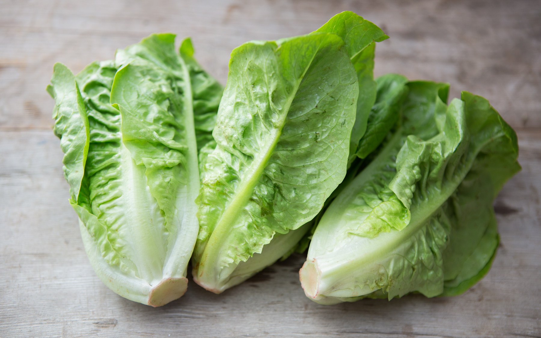 Organic Little Gem Lettuce Trio County Line Harvest SF Bay Good Eggs