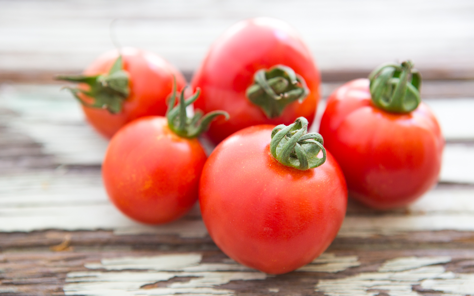 Organic DryFarmed Early Girl Tomatoes Live Earth Farm SF Bay