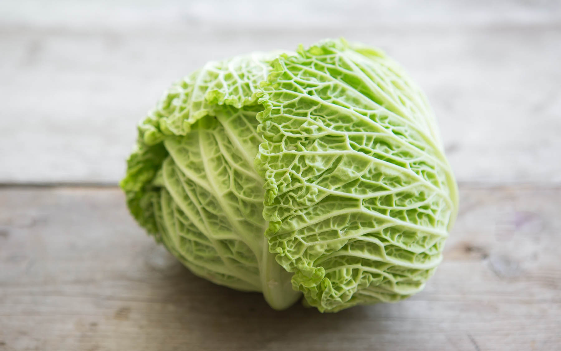 organic small savoy cabbage