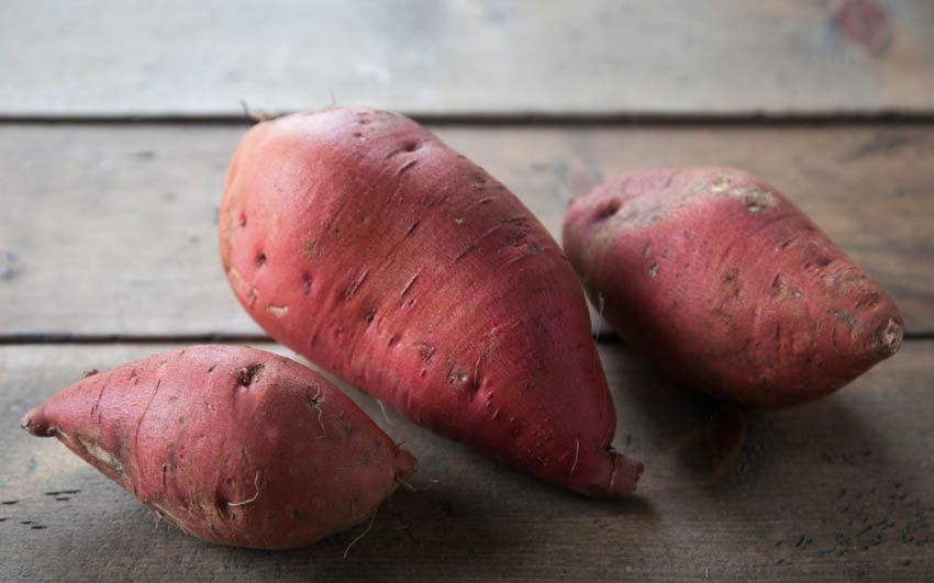 Bulk Organic Jewel Sweet Potatoes A.V. Thomas Produce SF Bay Good