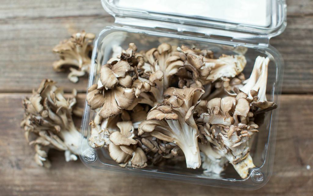 Fresh Organic Maitake Mushroom Far West Mushrooms SF Bay Good Eggs