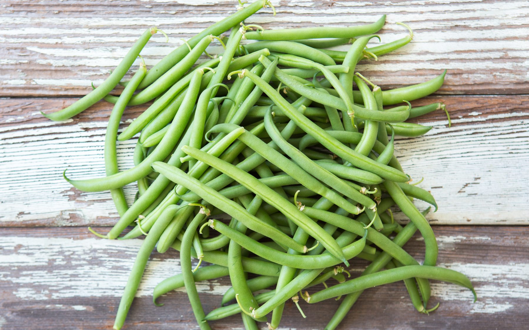 Organic Blue Lake Green Beans Lakeside Organic Gardens SF Bay   IeVwdQiwQDO8L4OXkUDT Green Beans 02 