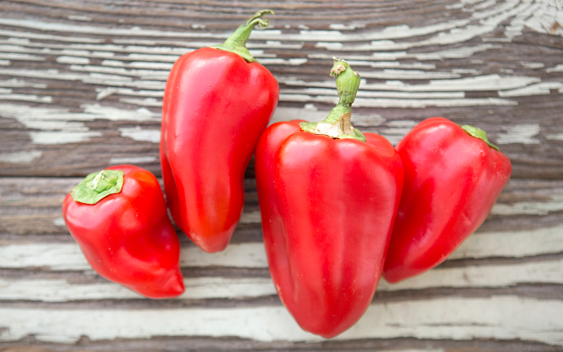 red jalapeno peppers