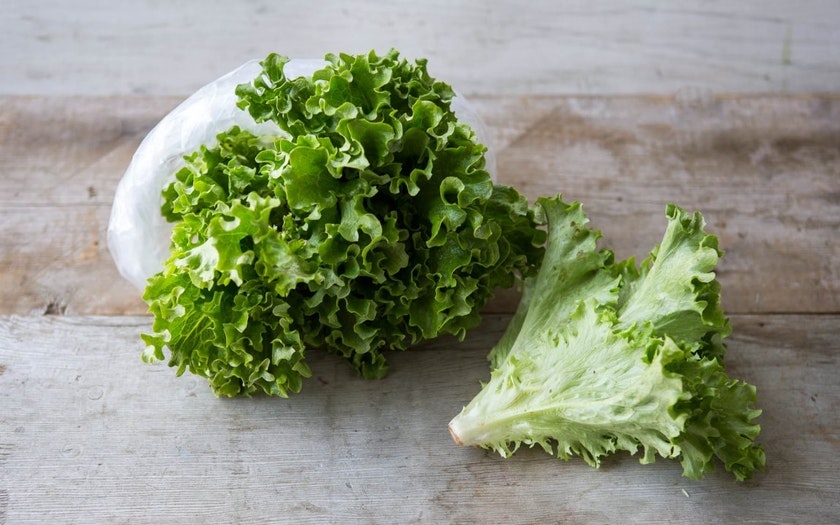 Organic Green Leaf Lettuce From Our Farmers Sf Bay Good Eggs Organic Green Leaf Lettuce From Our Farmers Sf Bay Good Eggs