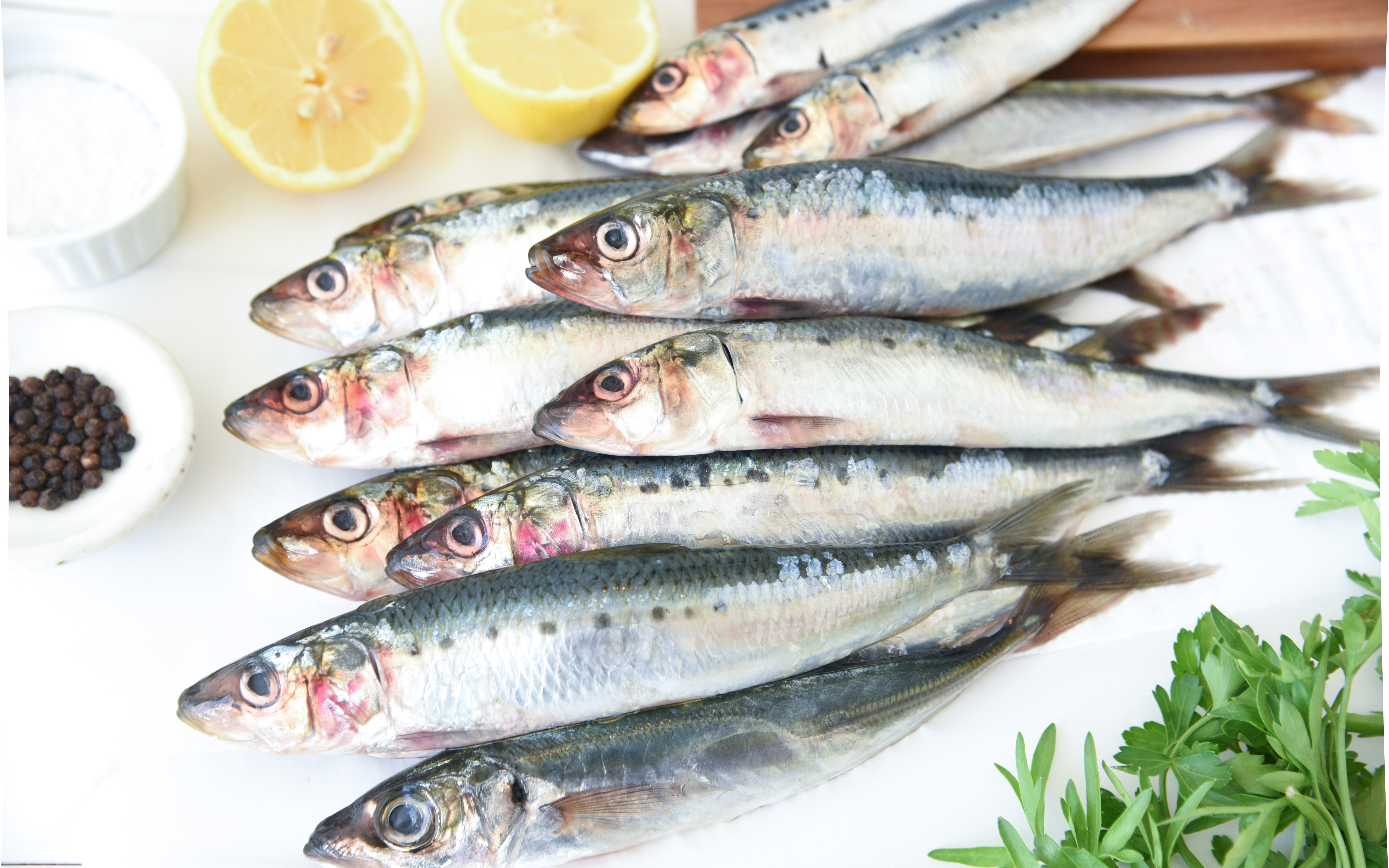 Fresh Sardines Two X Sea SF Bay Good Eggs